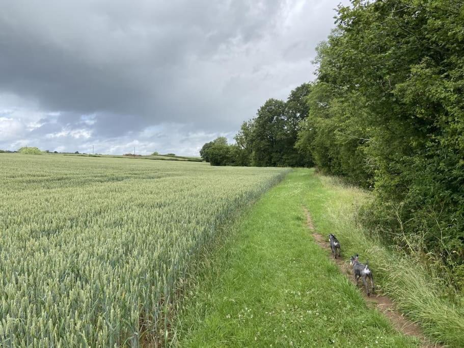 Coach House - Detached Cottage Within 135 Acres Bromyard Esterno foto