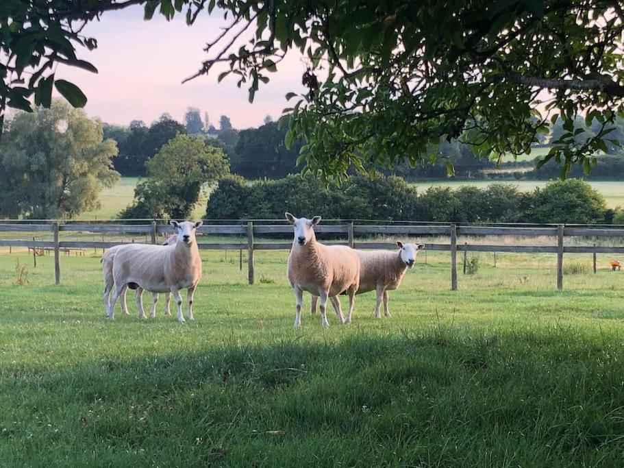 Coach House - Detached Cottage Within 135 Acres Bromyard Esterno foto