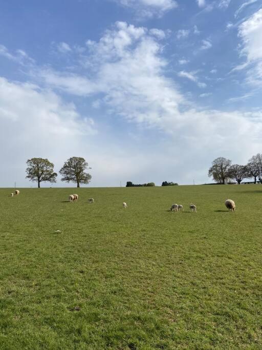 Coach House - Detached Cottage Within 135 Acres Bromyard Esterno foto