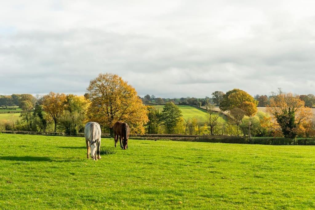 Coach House - Detached Cottage Within 135 Acres Bromyard Esterno foto